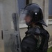 Bronze Shield - KFOR 29