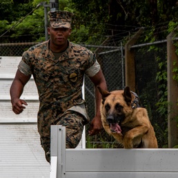 Faces of MCIPAC: A Four-Legged Devil Dog