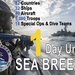 Sea Breeze 2021