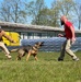 Working dog team travels overseas to purchase four-legged trainees