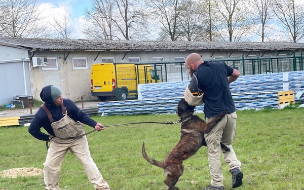 Working dog team travels overseas to purchase four-legged trainees
