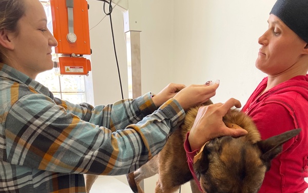 Working dog team travels overseas to purchase four-legged trainees