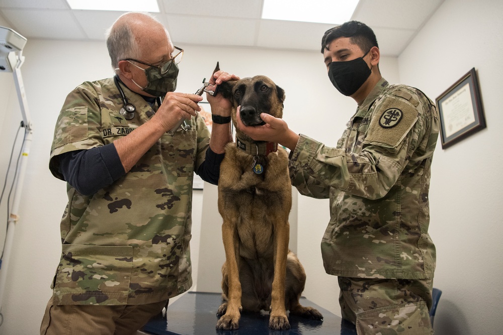 VAFB Welcomes new veterinarian