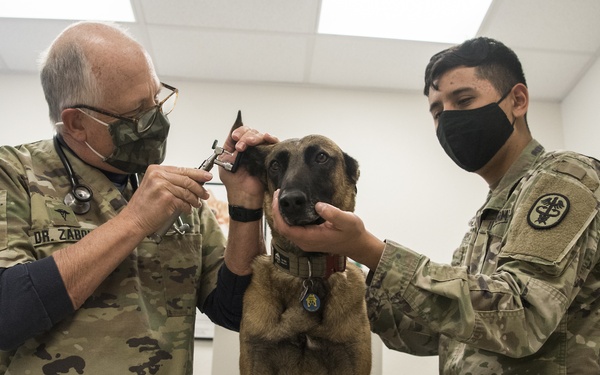 VAFB Welcomes new veterinarian