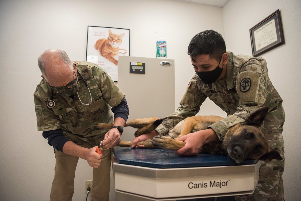 VAFB Welcomes new veterinarian