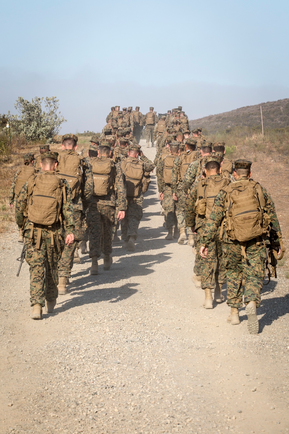 MASS-6 Annual Training