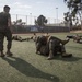 MASS-6 Annual Training