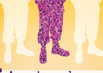 COVID ‘Stay Safe’ principle also works for responsible sex