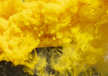 Operation Alamo Dust Off Vigilance 2021