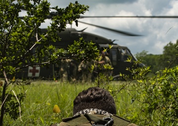 Operation Alamo Dust Off Vigilance 2021