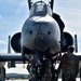 Koku Jieitai gets maintenance tour of A-10 Thunderbolt II during RED FLAG-Alaska 21-2