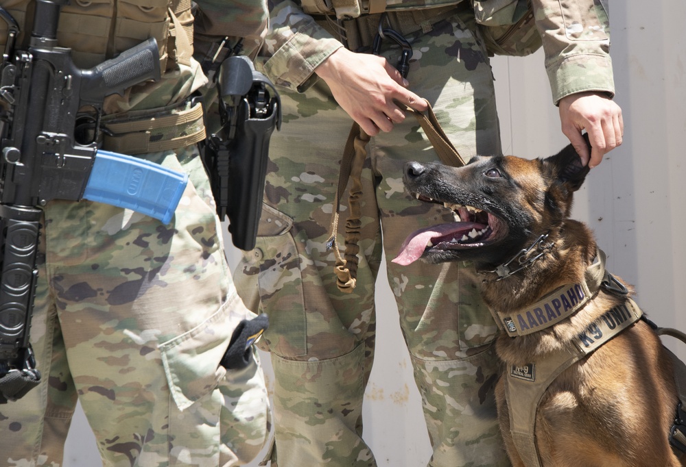 Phoenix Ravens protect mobility mission > Travis Air Force Base