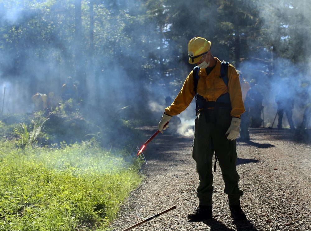 Guardsmen conduct fire training with Washington Department of Natural Resources