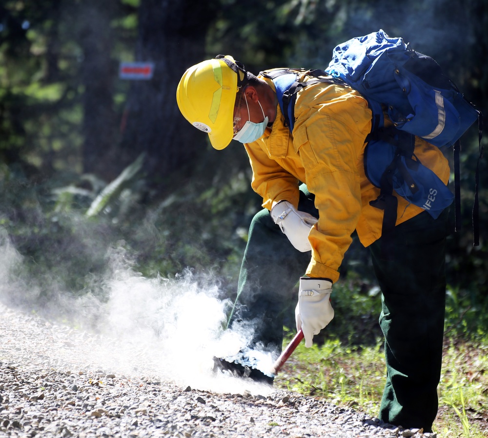 Guardsmen conduct fire training with Washington Department of Natural Resources