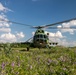 Sea Breeze 2021 Marine Training
