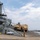 MCAS Iwakuni supports ORIENT SHIELD 21 MCAS Iwakuni supports ORIENT SHIELD 21
