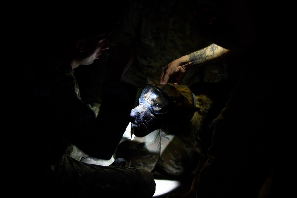 39th SFS partners with U.S. Soldiers to conduct first joint K-9 helicopter training