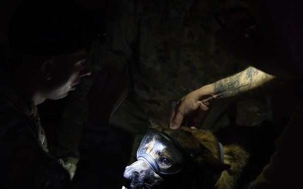 39th SFS partners with U.S. Soldiers to conduct first joint K-9 helicopter training