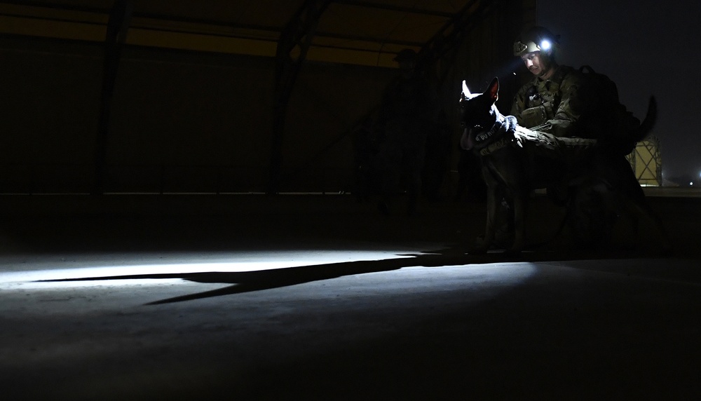 39th SFS partners with U.S. Soldiers to conduct first joint K-9 helicopter training
