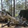 The image shows military personnel operating what appears to be an M198 155mm howitzer in a wooded training area. Soldiers are working around the artillery piece, which is positioned near a military truck, with camouflage netting deployed over nearby equipment. The setting appears to be a field exercise or training operation in a pine forest environment.
