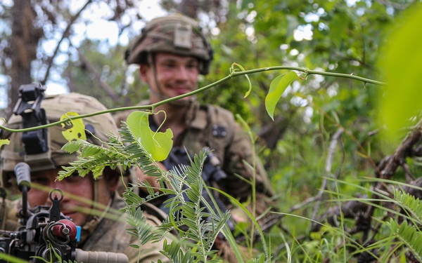Two soldiers in camouflage uniforms and helmets are positioned low in dense vegetation, appearing to conduct a field training exercise. The forward soldier is aiming a rifle equipped with a bipod through the undergrowth, while the second soldier behind him observes with a visible smile. The setting is a wooded, overgrown area with lush green foliage.