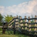 CATALIST Class 001-2021 attends leadership training in Gettysburg