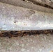 Fort Drum Natural Resources team tracks gypsy moth infestation on post