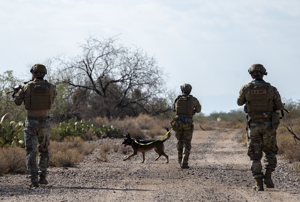 Military Working Dogs Demonstration