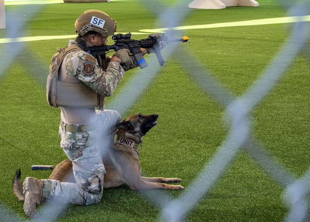 Military Working Dogs Demonstration