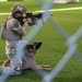 Military Working Dogs Demonstration