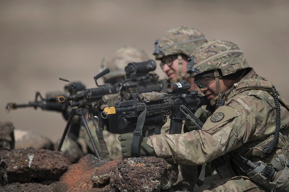 Idaho Guard Annual Training - Review in Photographs; C Company Field Exercise