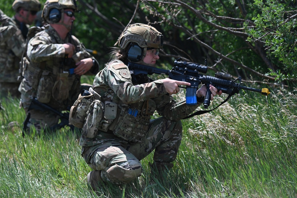 219th Security Forces Squadron conducts annual training