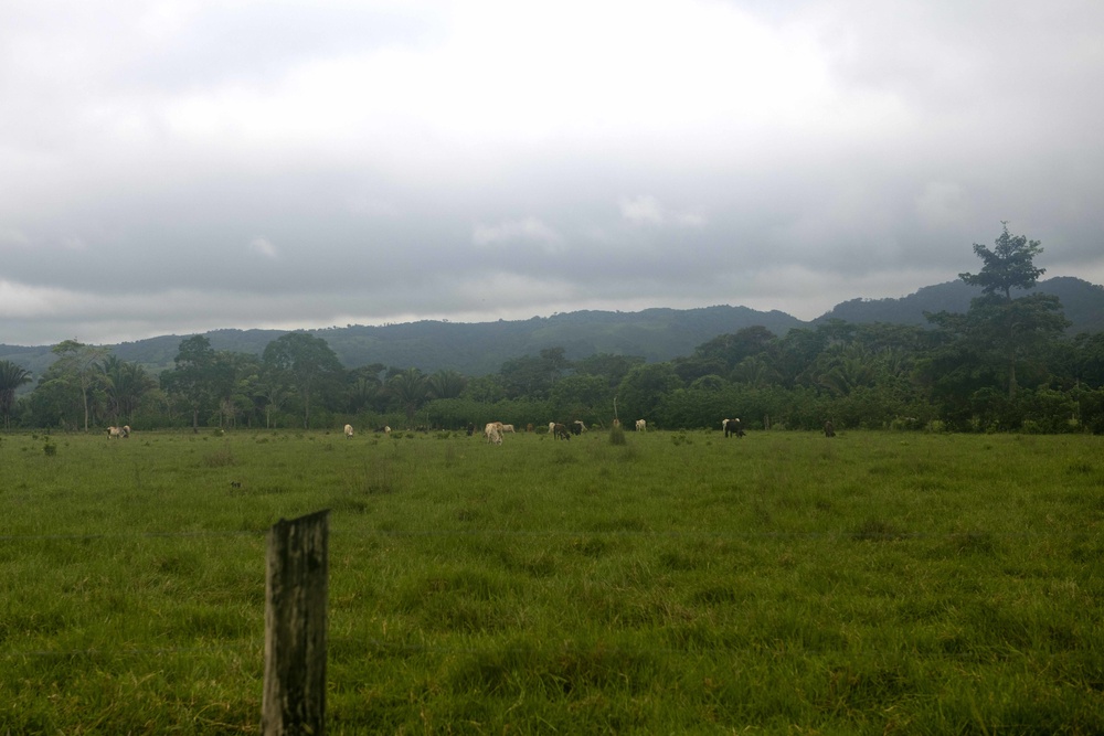 RS-21 vet team vaccinates cattle