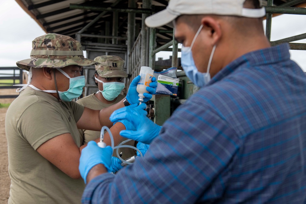 RS-21 vet team vaccinates cattle