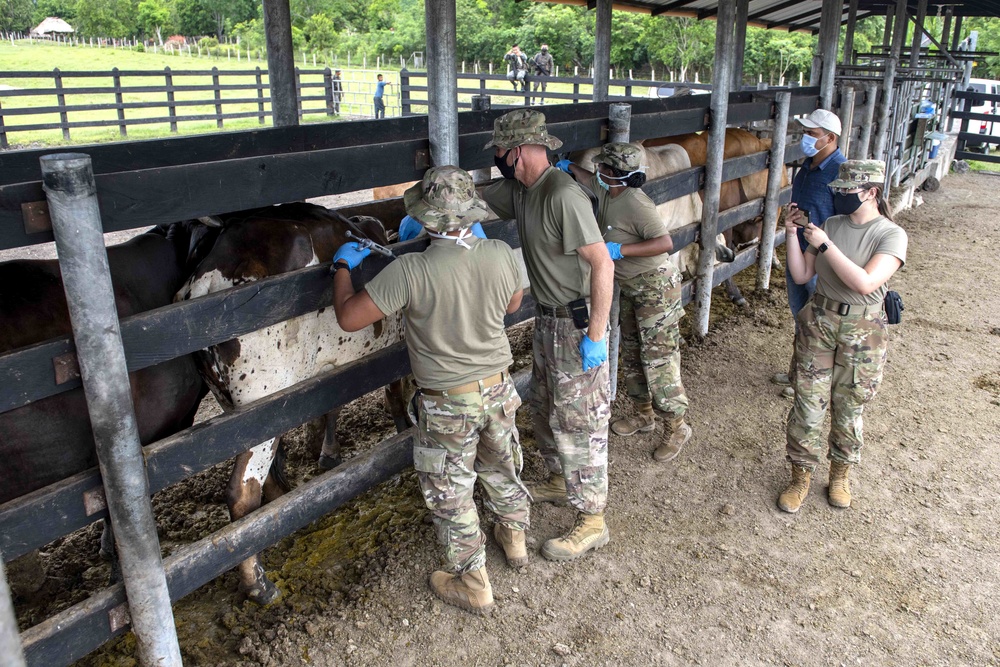 RS-21 vet team vaccinates cattle