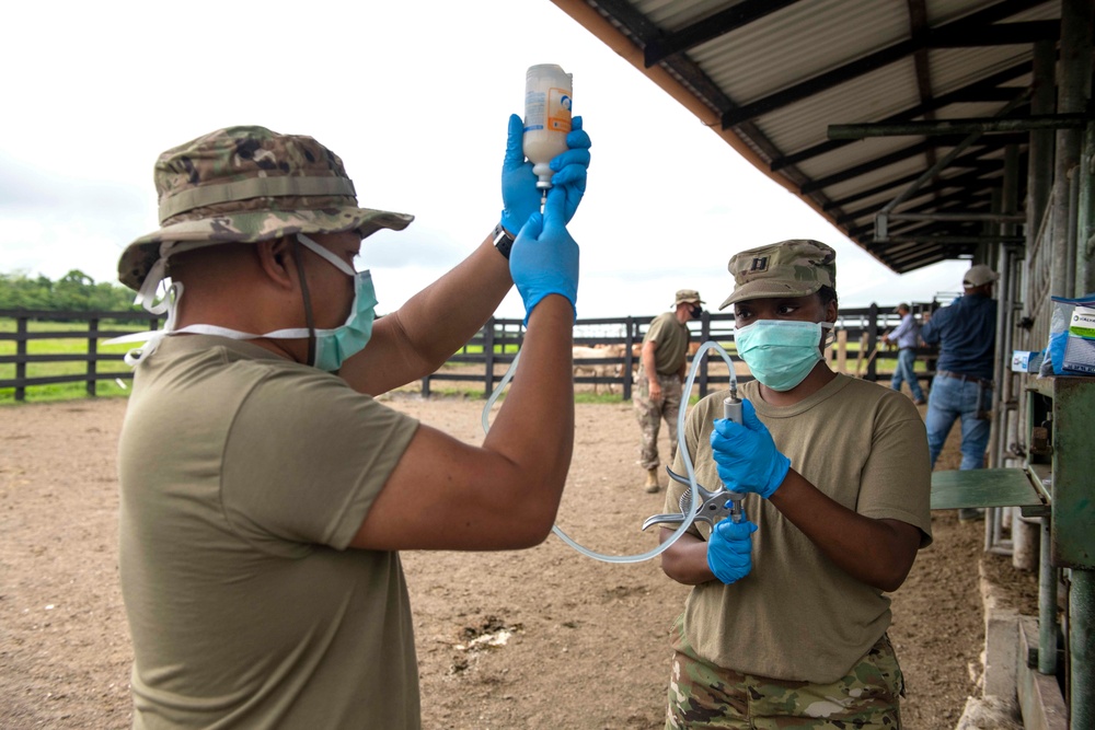 RS-21 vet team vaccinates cattle