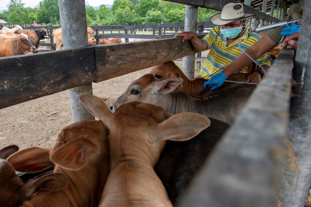 RS-21 vet team vaccinates cattle