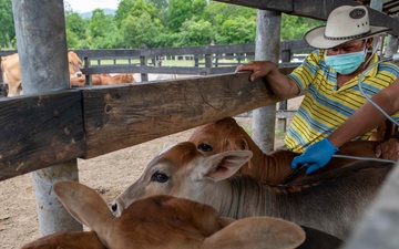 RS-21 vet team vaccinates cattle