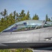 Amalgam Dart 21-01