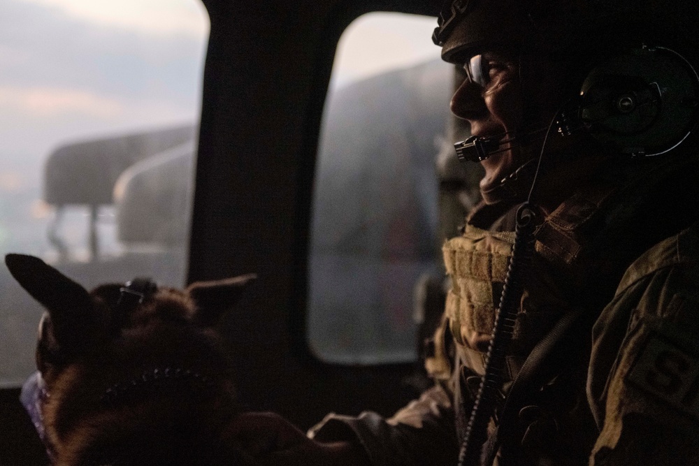 39th SFS partners with U.S. Soldiers to conduct first joint K-9 helo training