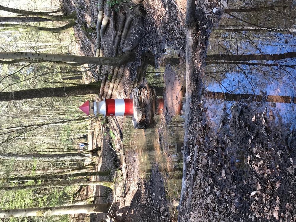 Hiking through the Fairy Tale Forest