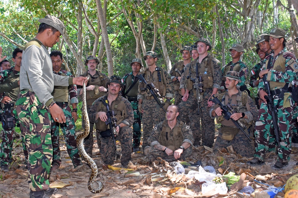 U.S. Marine Corps and Indonesian Korps Marinir Joint Training Exercise