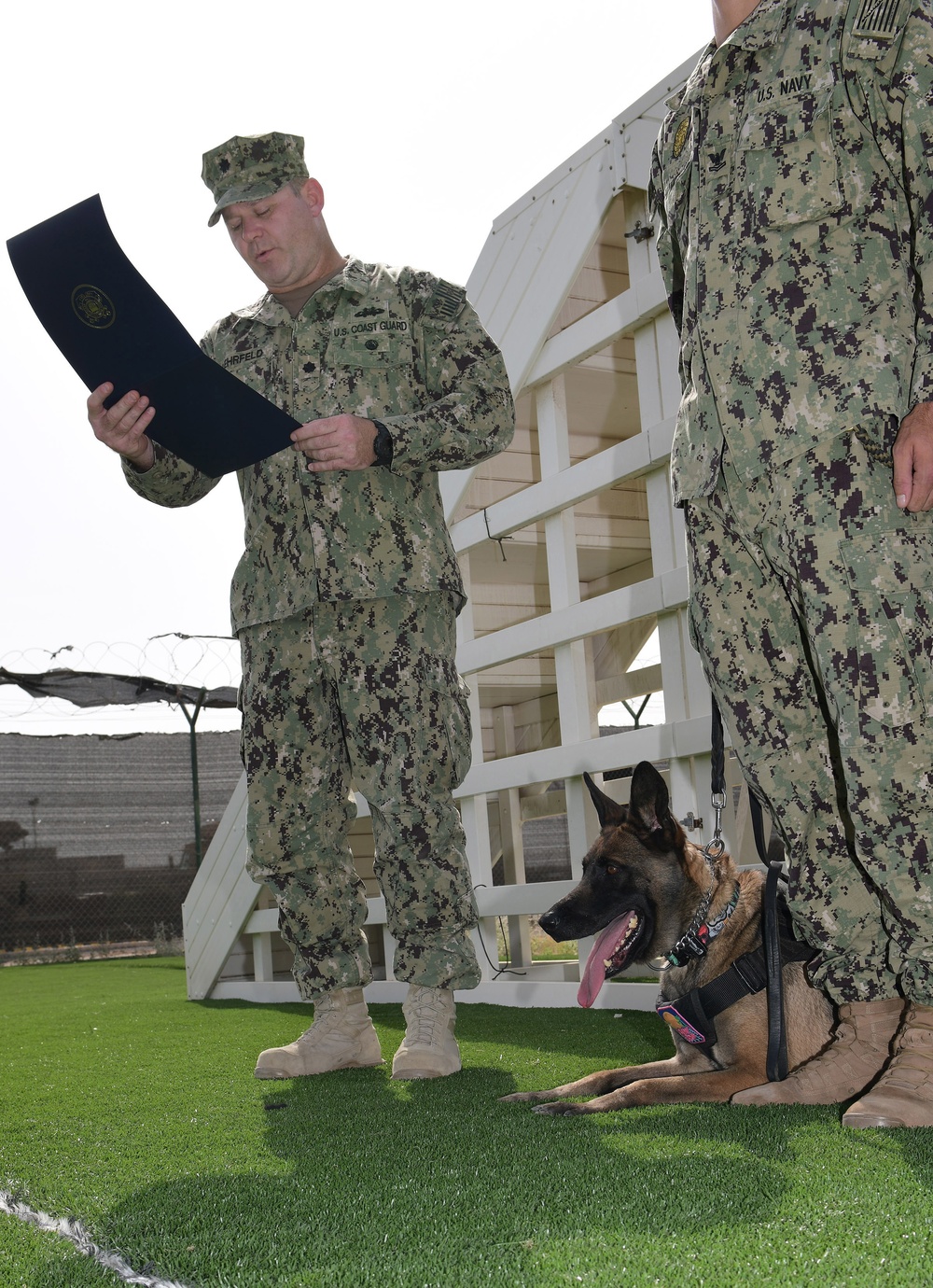 Navy Working Dog Receives Coast Guard Award