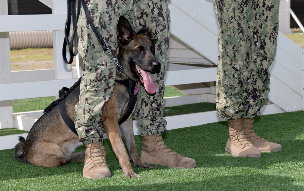 Navy Working Dog Receives Coast Guard Award