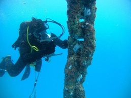Underwater Construction Team TWO Improves the Waterfront at Naval Support Facility Diego Garcia