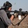 Border Patrol and Homeland Security Investigations agents conduct weapon qualifications in Big Bend Sector