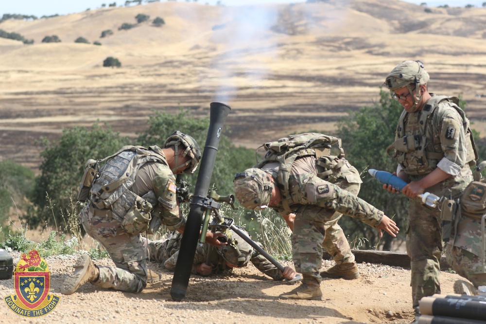 79th Infantry Brigade Combat Team, Exportable Combat Training Capability