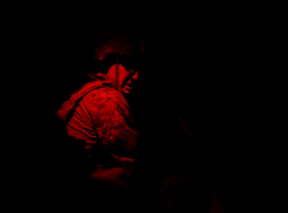 Light Armored Reconnaissance Night Raid