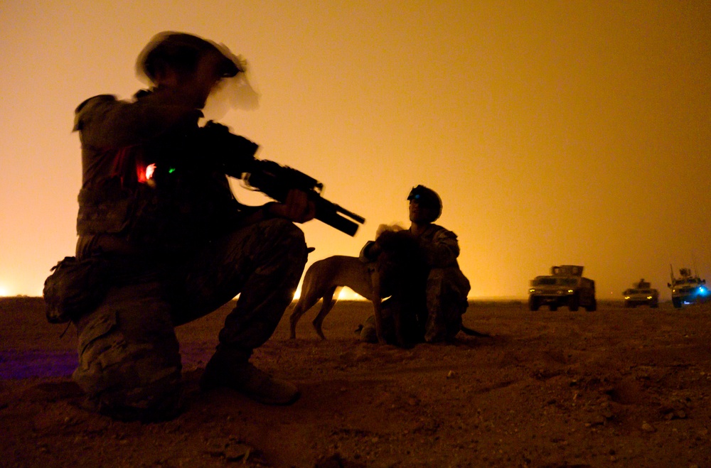 PSAB bolsters defensive capabilities