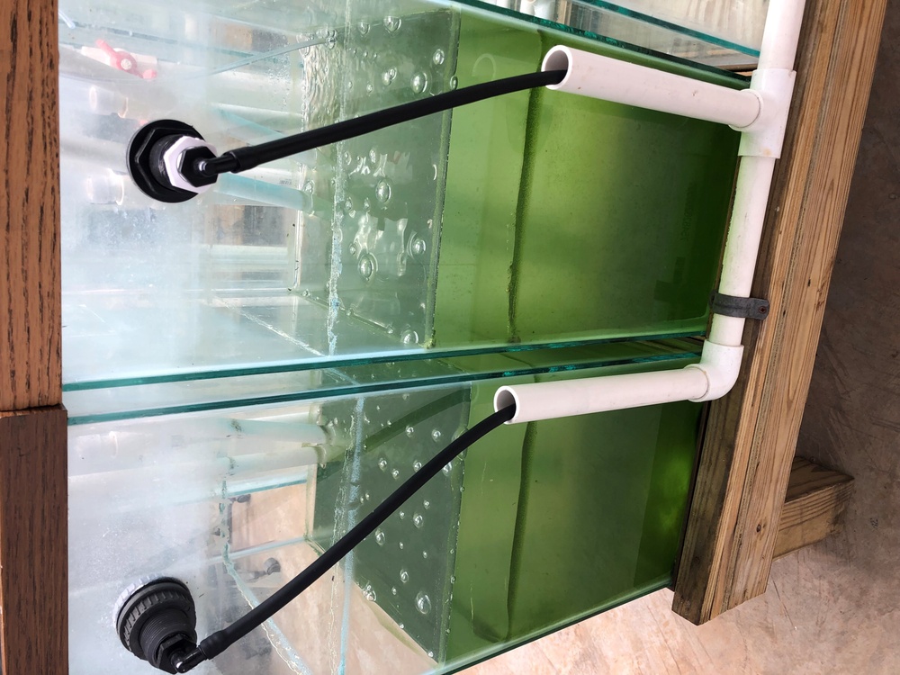 ERDC partners with Ohio universities to develop solutions for harmful algal bloom problem